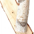 Bétula